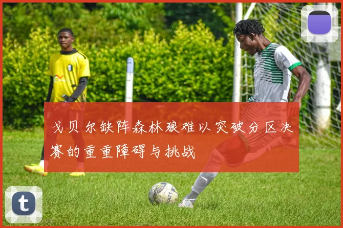 戈贝尔缺阵森林狼难以突破分区决赛的重重障碍与挑战